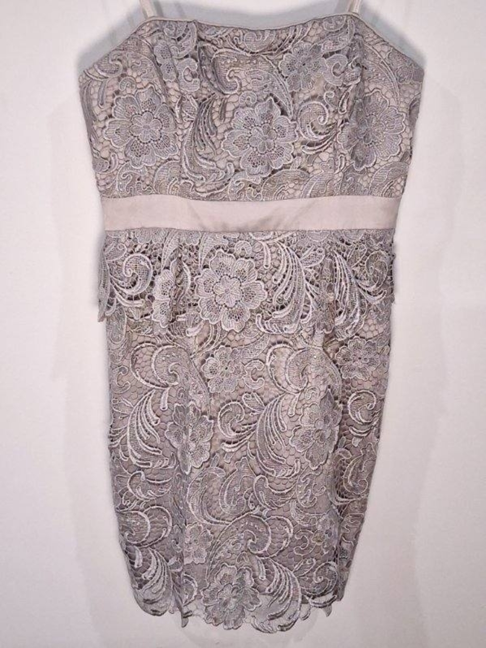 Adrianna Papell Sz 6 Strapless Lace Sheath Dress in Light Taupe
